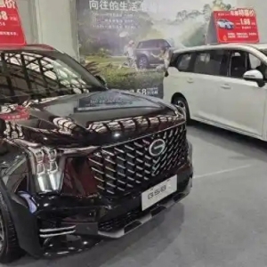 车市黄金周｜地方车展揽客，车企抛出“一口价”拉销量