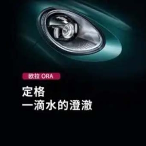 欧拉汽车首款纯电SUV亮相，专业美学设计破局细分市场