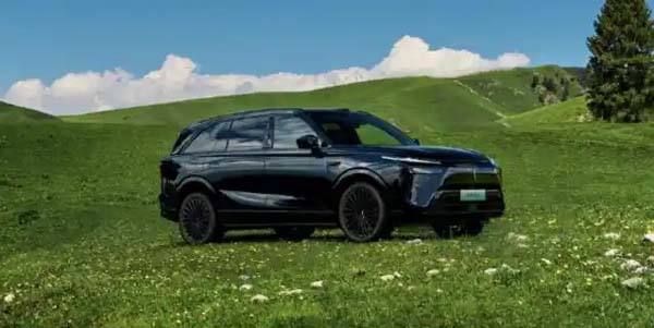 魏牌蓝山车主真实体验分享：全方位实力圈粉家庭用户