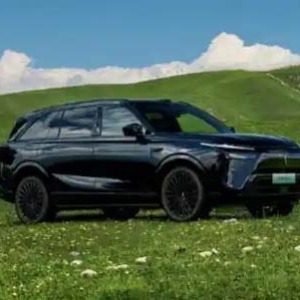 魏牌蓝山车主真实体验分享：全方位实力圈粉家庭用户