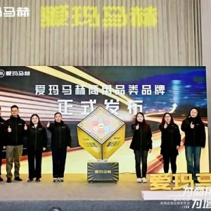 两轮商用车市场爆发式增长，穿越行业周期头部企业如何破局？｜新经济观察