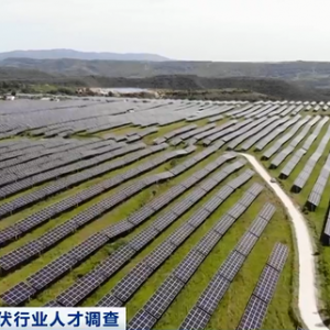 太疯狂！企业“加价”抢人，年薪涨到50万元！光伏行业人才，炙手可热→