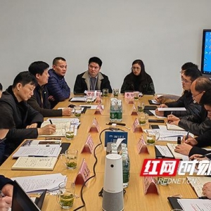 湘江新区：知识产权全链条保护 助推智能网联汽车产业高质量发展