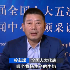 加强数字中国建设整体布局！代表热议：数字经济助全产业链转型升级