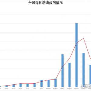本轮疫情何时结束？两周后的清明节，人群能否自由流动？专家分析