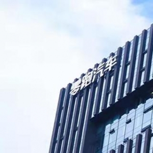 大华的造车梦：零跑科技要赴港上市？会有戏吗？