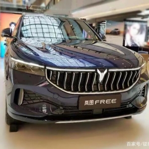 交付量腰斩，品牌高端化遇阻，岚图还能乘“东风”吗？