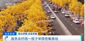 服务业纾困一揽子举措密集落地，涵盖财税、金融、就业等方面→