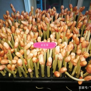 马伊琍种葱、陈彦妃发豆芽，这么多蔬菜都能水培，好吃又好养活