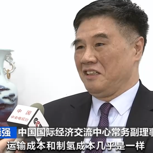 氢能产业遭遇“成长的烦恼”！储运环节“卡脖子”，成本居高不下！记者调查→