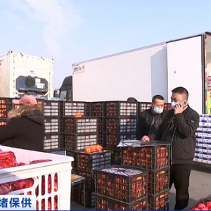 黑龙江最大果蔬批发市场恢复营业 保障居民“菜篮子”