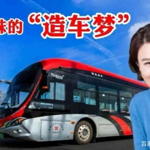 董明珠造车“成功”背后：多个大佬下场，谁能分到一杯羹？