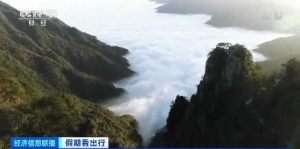 春季限定”浪漫！新疆郁金香花海迎客来 近郊游持续升温