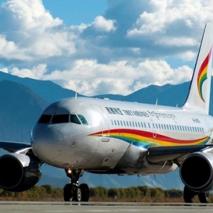 西藏航空A319客机重庆机场冲出跑道起火，图片显示了详细信息 ...