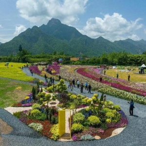 “秦岭八村”开园 “万企兴万村”启动西安高新区全力打造乡村振兴“高新样板”