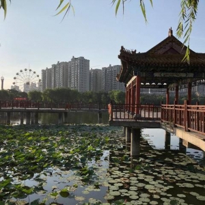 生活随想：快乐的人都是掌握了快乐打开方式的人
