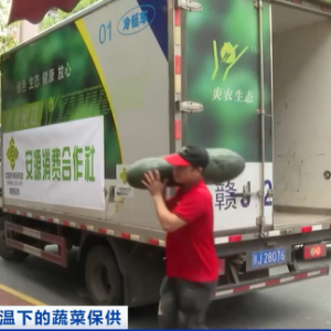 现采现卖、冷藏运输……持续高温下，保障果蔬“锁鲜”上市，各地出招→