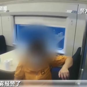 南京：女子动车厕所抽烟引发烟雾报警 导致自动降速