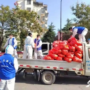 临沂沂河新区：免费蔬菜包送到群众家门口