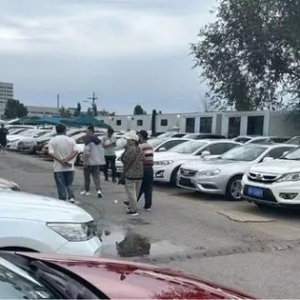 政策红利与消费者需求双轮驱动 二手车渐趋热销
