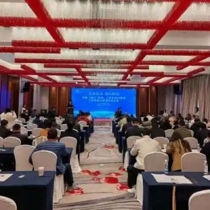 促成20余项合作意向 中国（四川·双流）二手车出口基地资源交流会举行