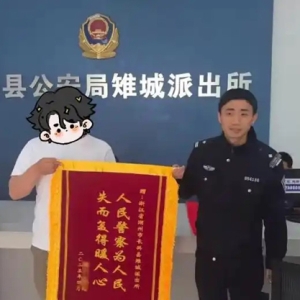 男子“唱双簧”，虚拟二手车交易，骗走买家10万元