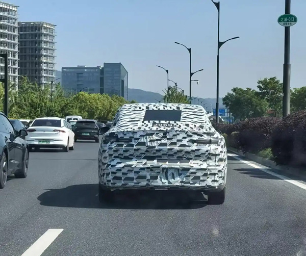 捂得严严实实，街头这“蒙面车”究竟是什么车