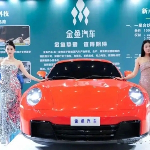 调查｜无商标、无备案、海马汽车否认合作，金鱼汽车什么来头？