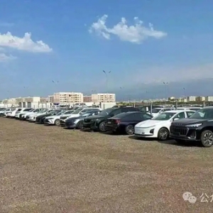 逆势突围！高升汽车210台新能源二手车跑出出口“加速度”
